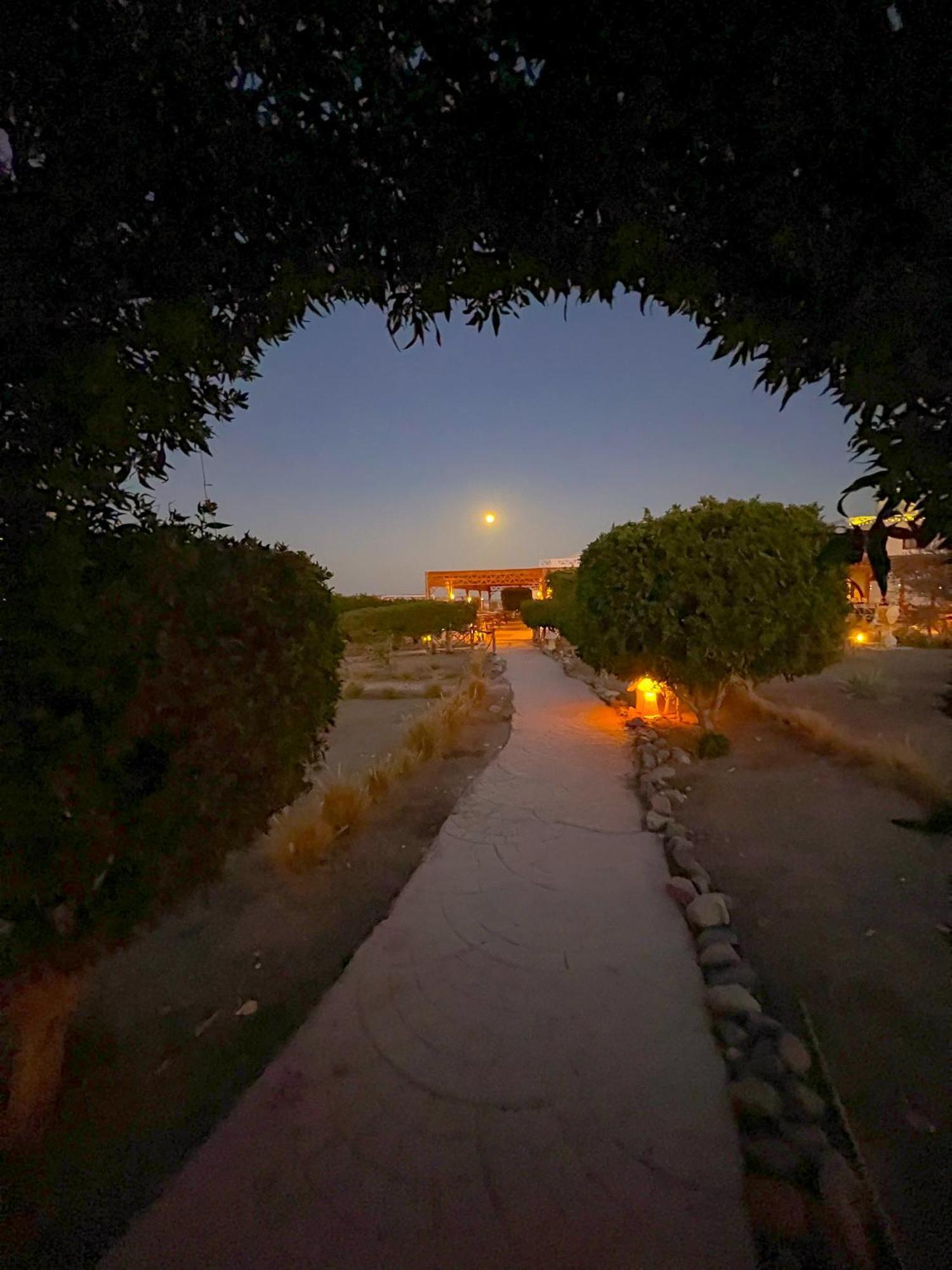 Beach safari nubian resort Marsa Alam Zewnętrze zdjęcie